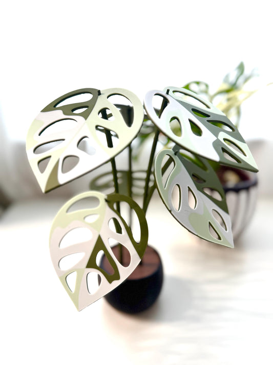 3d Printed Faux Albo Adansonii Plant Coaster Set