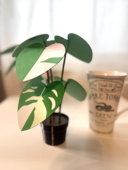 3d Printed Faux White Princess Philodendron Plant Coaster Set